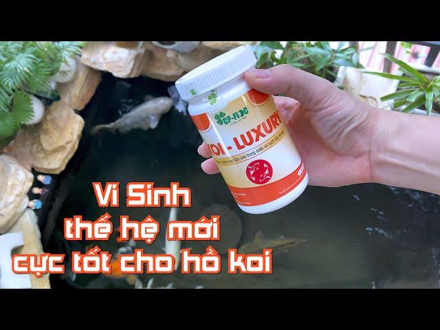 Vi sinh Koi Luxury phải nói là rất tốt..Hồ koi nước trong như lavie..anh em trải nghiệm thử xem nhé