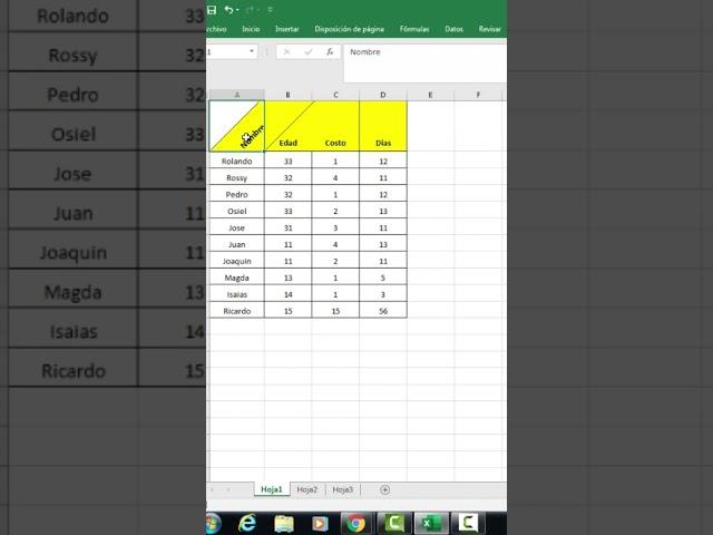 Tecnicas basicas que necesitas aprender en excel