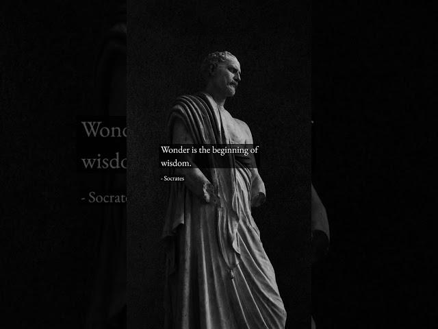 Unlock Wisdom: Start with Wonder! #Shorts