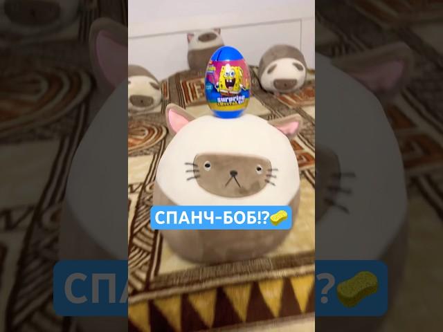 Котик Лайк и набор с игрушкой и вкусняшкой #юмор #рекомендации #unboxing