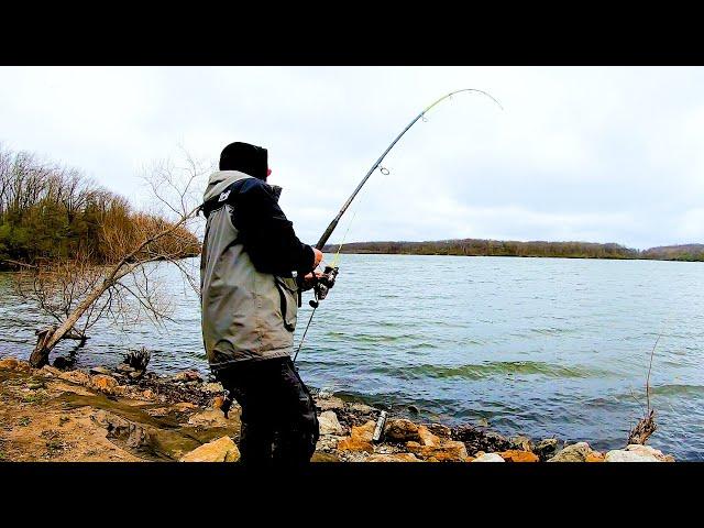 I HAVE Never Caught One This BIG Catfishing! (Bank fishing)