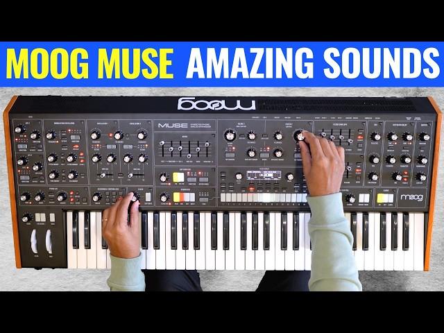 Moog Muse Full Sound Tour  No Talking!