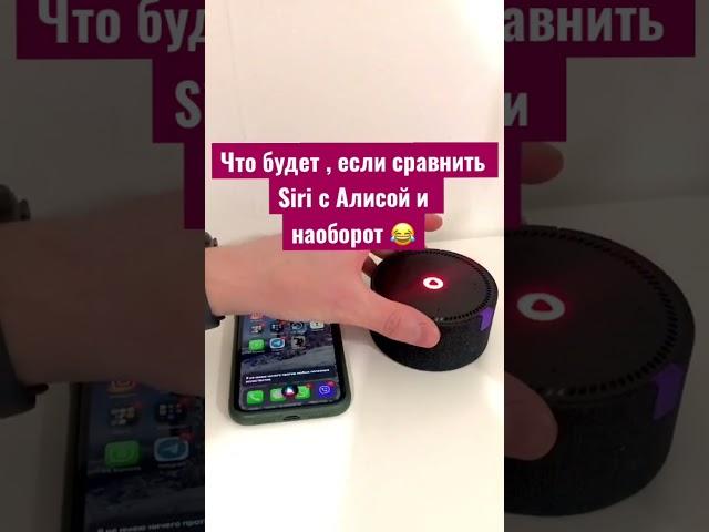 Что будет , если сравнить Siri с Яндекс Алисой ?