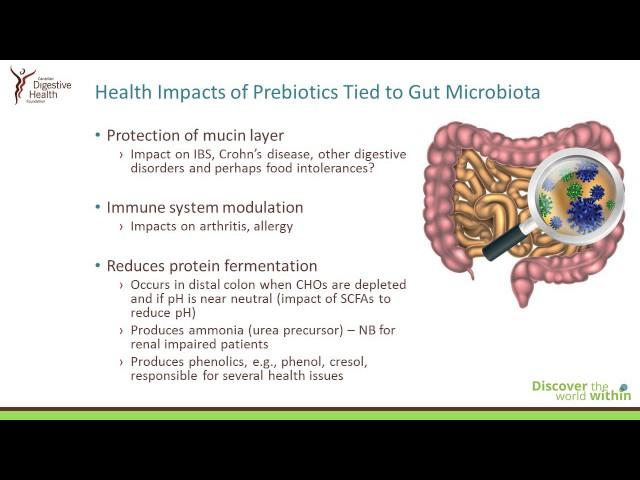 Prebiotics - The Ultimate Fibre