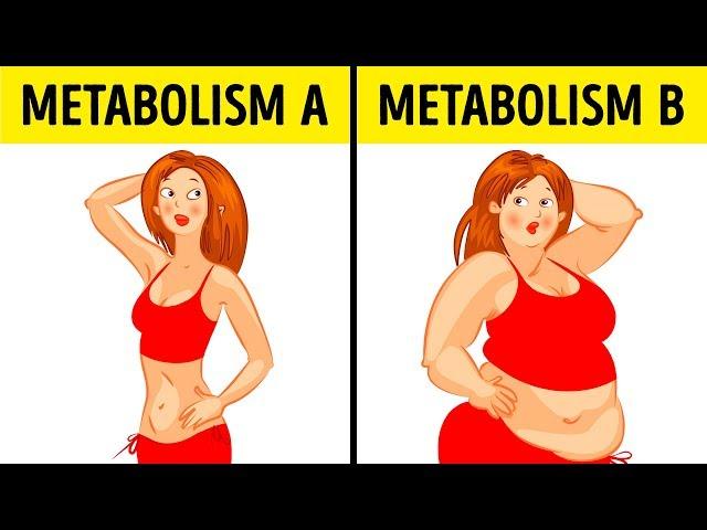 What the Metabolic Diet Is and How It Works