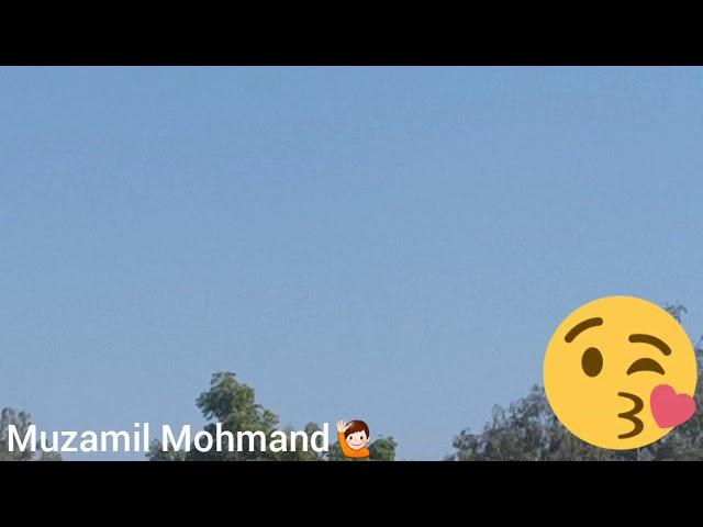 Muzamil Mohmand Batting