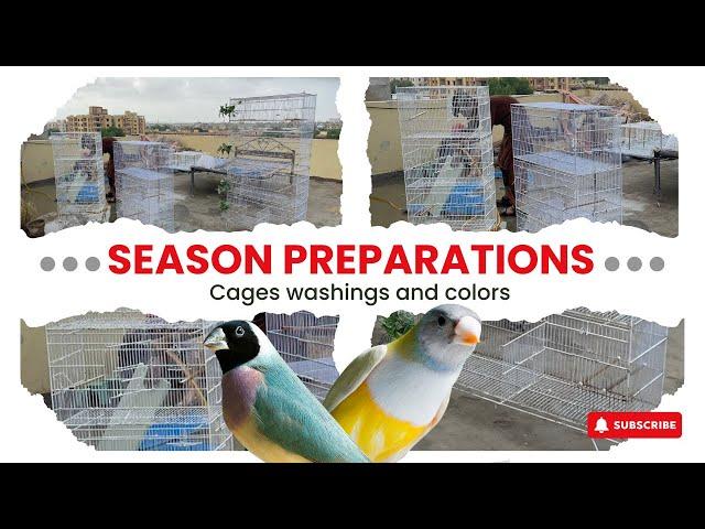 2025 Breeding Season Preparations Start  || Cages Cleaning & Colouring Brand New Breeding Cages