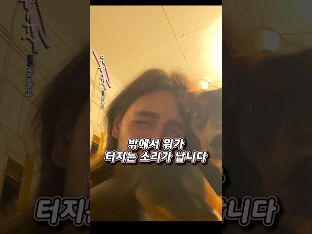 개를 지키고자 했던 주인