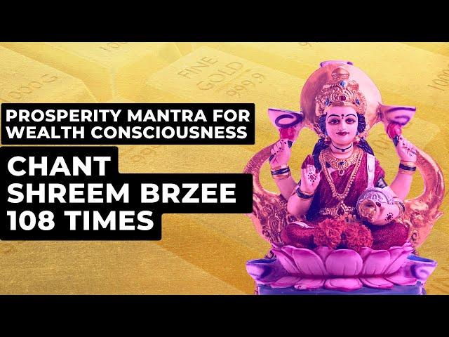 Prosperity Mantra For Wealth Consciousness | Chant Shreem Brzee 108 Times