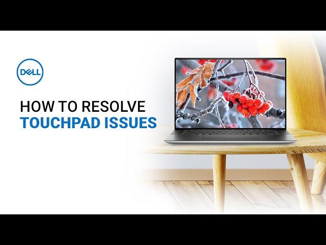 How to Fix Touchpad Not Working Windows 11 | Dell Laptop (Official Dell Tech Support)