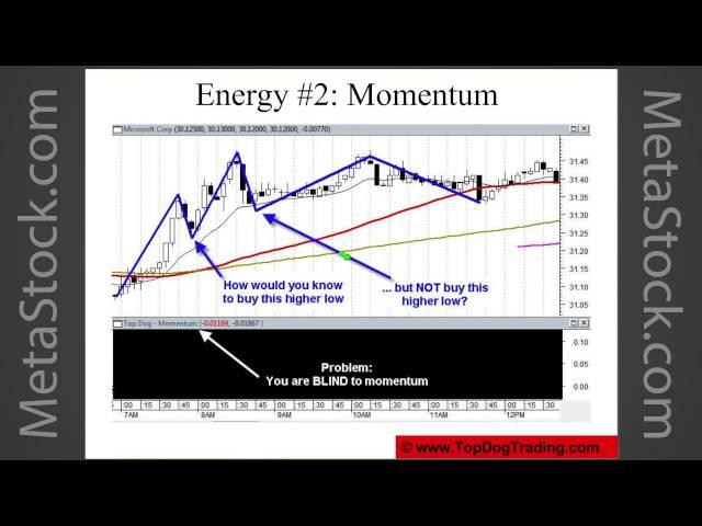 Introduction to Top Dog Trading Toolkit - Barry Burns