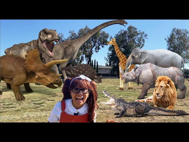 Dinosaurs and Animals for Kids | Soso Brings Her Dinosaurs and Animal Toys to Life!