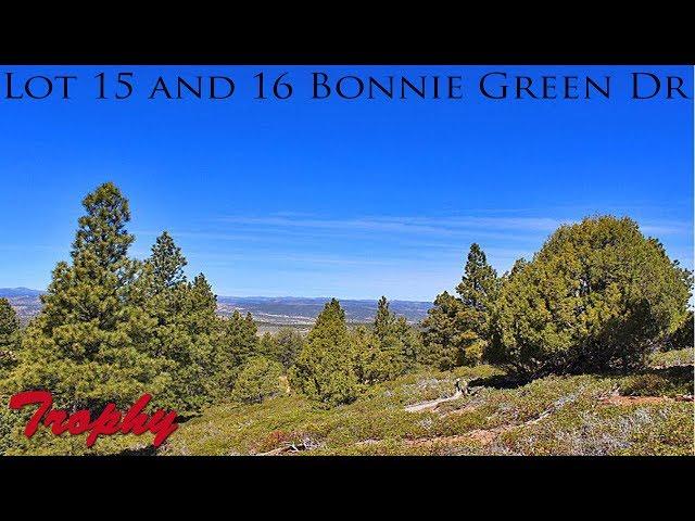 Mountain Lot Near Utah National Parks - Lot 15 and 16 Bonnie Green Dr, Duck Creek Village, Utah