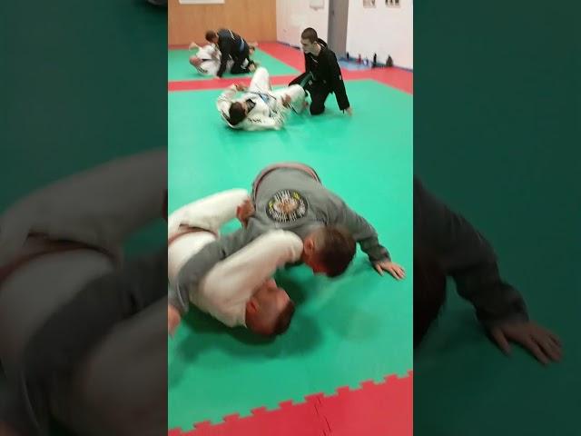 Tribe Jiujitsu Pordenone: countering half guard pass #bjj #bjjpordenone