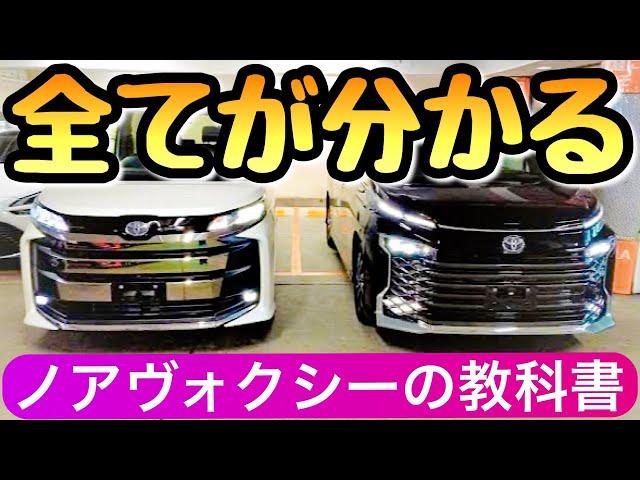 【完全保存版】新型ヴォクシーと新型ノアの虎の巻 初めてトヨタ車を買う方へ ミニバン