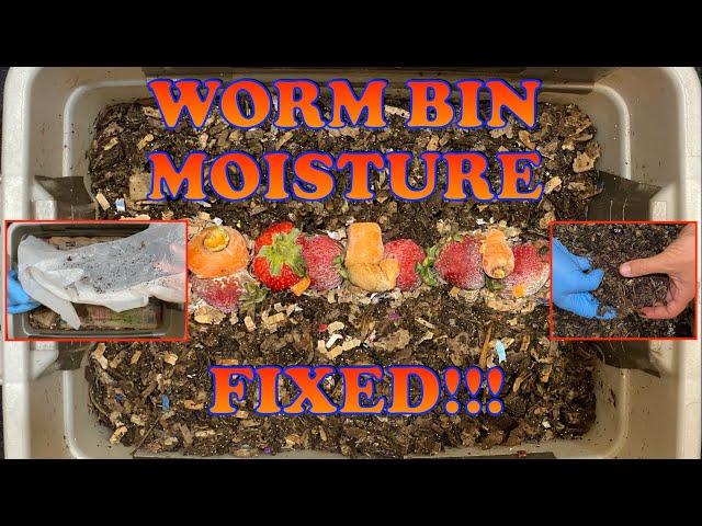 How To Retain Moisture In A Worm Bin | Vermicompost Worm Farm