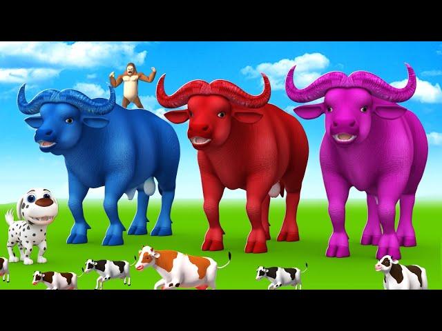 Paint the Animals - Giant Magical Color Buffalo in Jungle - Magical Farm Animals Videos Collection