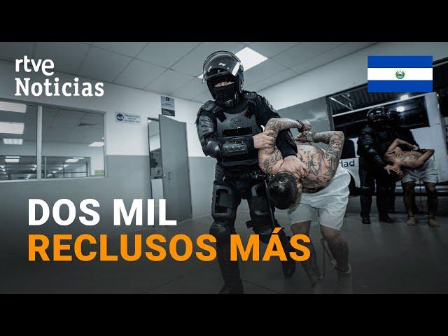 EL SALVADOR: EL GOBIERNO de BUKELE difunde un vídeo del TRASLADO de PANDILLEROS a su MEGAPRISÓN |