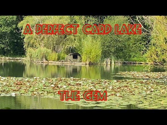 The best looking carp lake in essex