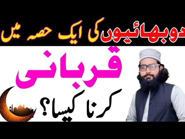 2 bhaion ka ekthey qurbani krna Kaisa hai || do Bhaion ki qurbani || دو بھائیوں کی اکٹھے قربانی کرنا