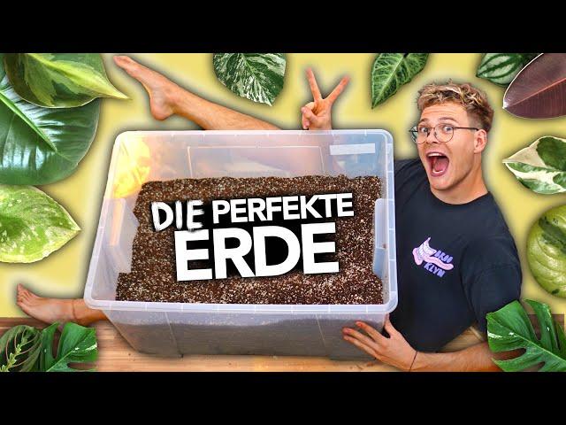 Die PERFEKTE ERDE für ZIMMERPFLANZEN - Pflanzenerde selbst mixen | Joey's Jungle Plants