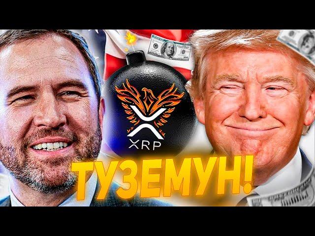  CEO RIPPLE ПРОГОВОРИЛСЯ: ВОТ КАК ДОНАЛЬД ТРАМП ПОВЛИЯЕТ НА XRP ПОСЛЕ 20 ЯНВАРЯ 2025 ГОДА!!!