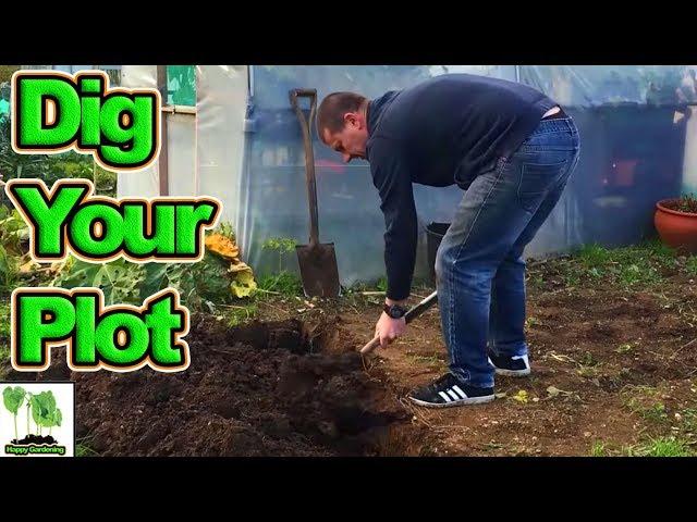 How To Dig Your Allotment