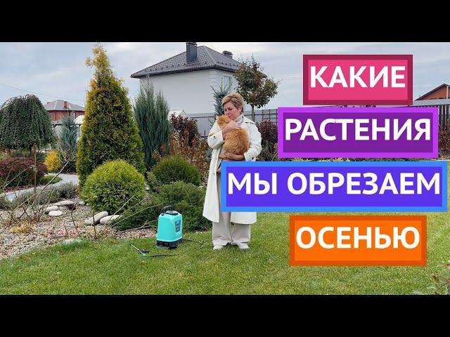 НЕ ОШИБИТЕСЬ ПРИ ОСЕННЕЙ ОБРЕЗКЕ РАСТЕНИЙ!