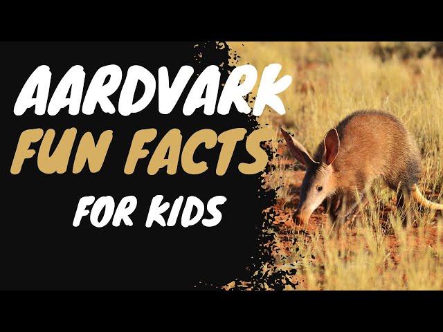  Aardvark Fun Facts for Kids: Unbelievable Discoveries Await! #kidsvideo #kids #kidslearning