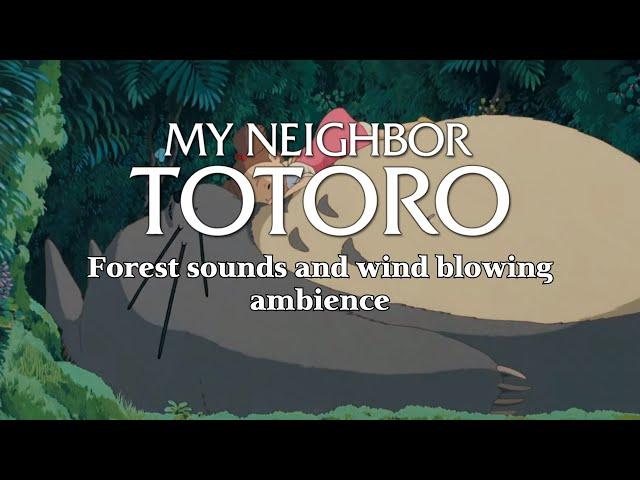 Totoro & Mei Sleeping in the Forest | Studio Ghibli Ambience (No Music)