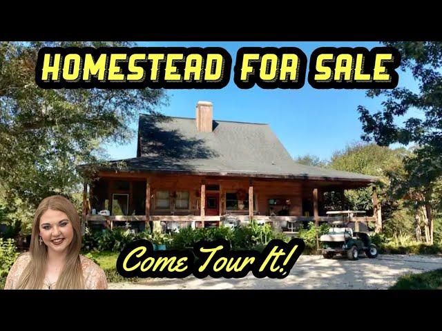 Homestead Property For Sale | Rural Countryside Home Tour In Alabama