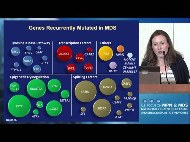 An Approach to Diagnosis and Staging of MDS: From Morphology to Genetics