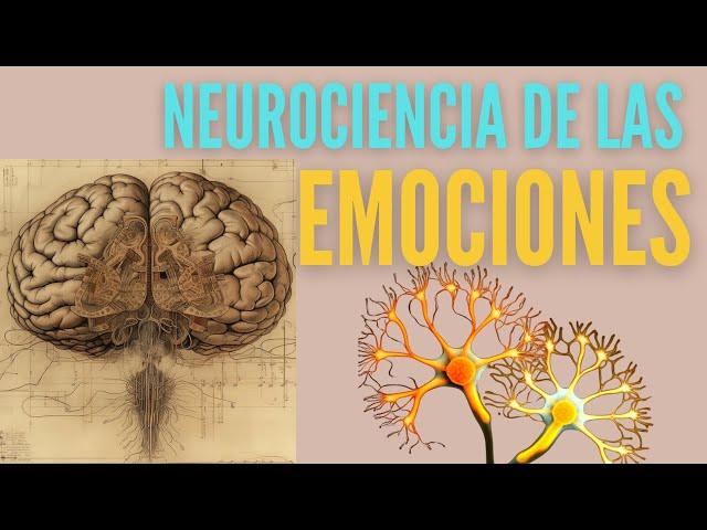 El Sistema límbico y las emociones