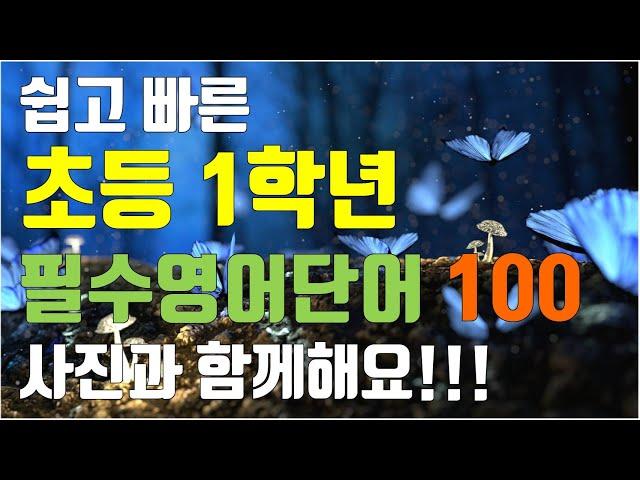 쉽고 빠른 초등 1학년 필수영어단어 100 / 사진과 함께해요 / 초보영어 / 초등영어단어 / 기초영어단어 / 영어회화 / 초등영어회화 / 한글파일을 함께 드려요!!!