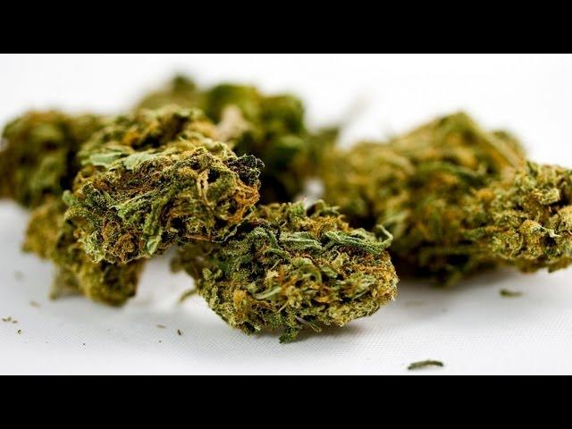 What Are THC & CBD? | Marijuana