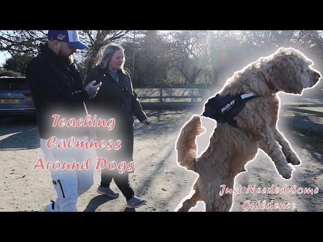 Teaching Calmness Around Dogs