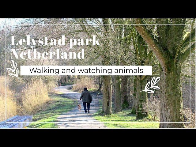 Lelystad Park  Netherlands Part 1 - Нидерланды  Природный парк Лелистад Часть 1