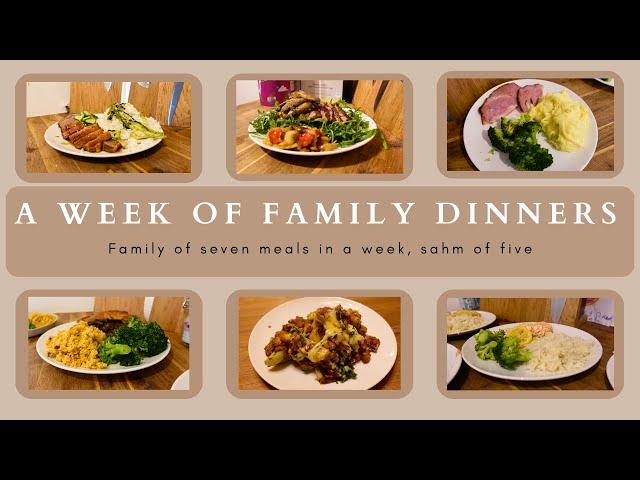 WEEK 17| FAMILY DINNERS OF THE WEEK | family of seven evening meal ideas, meal plan