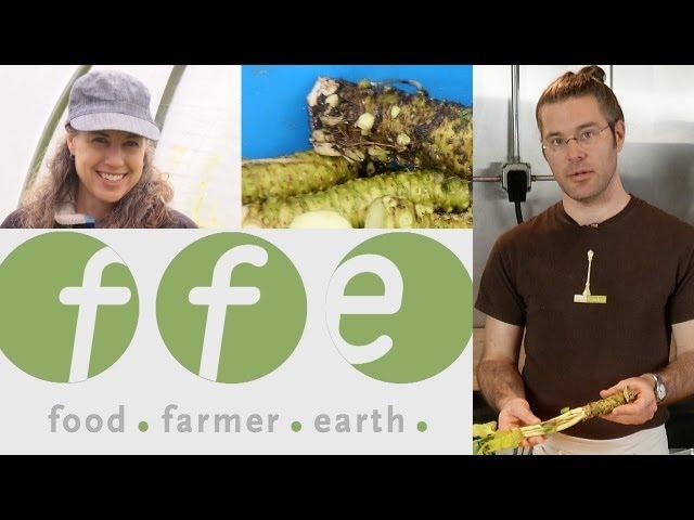 Food Farmer Earth: Series Preview