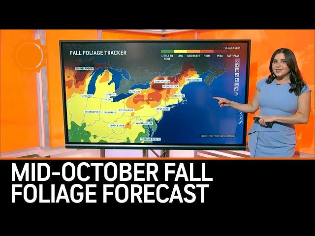 Your Mid-October Fall Foliage Forecast | AccuWeather