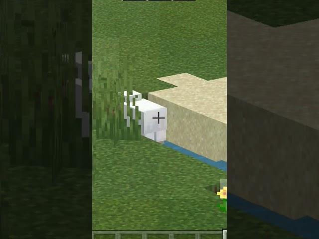 uhh Minecraft Sheep