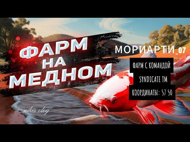 фарм на медном 57 502