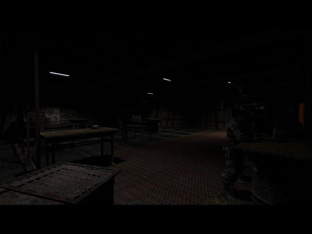 S.T.A.L.K.E.R. CoC Demosfen Atmosphere - Skadovsk