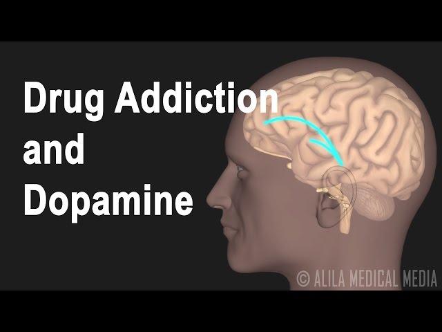 Mechanism of Drug Addiction in the Brain, Animation.