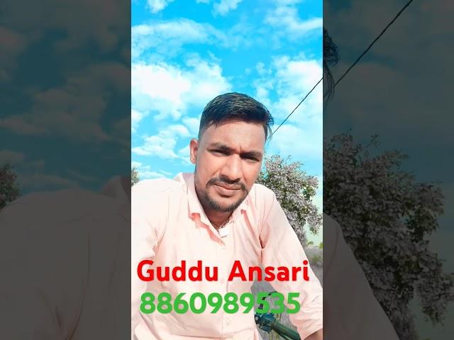 Guddu Ansari Cooler