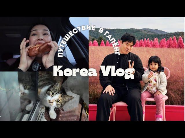 KOREA VLOG / ДР МУЖА / ДОМИК В ДЕРЕВНЕ