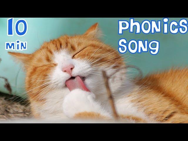 Phonics Song Compilation of A-Z Animals| Kidzstation