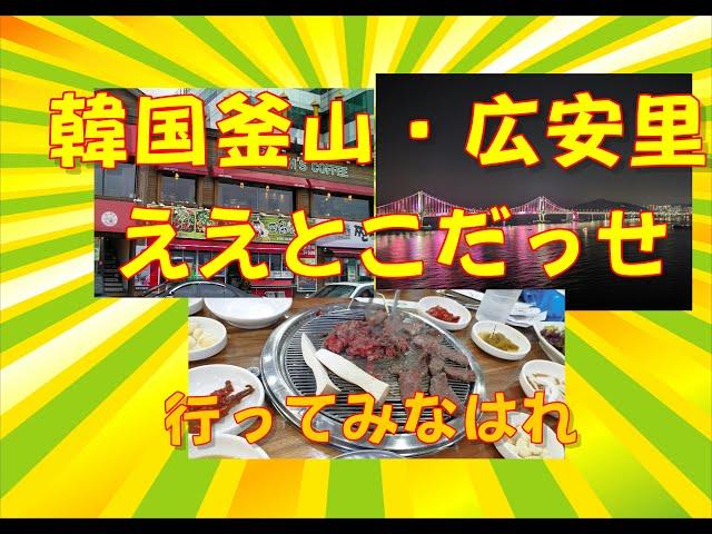 【うまいもんいっぱい】韓国釜山・広安里　ジャズバー・焼肉・ドローンショー【おしゃれな景観】行ってきなはれ