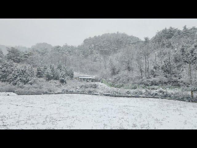 카리스마의 조건 10가지