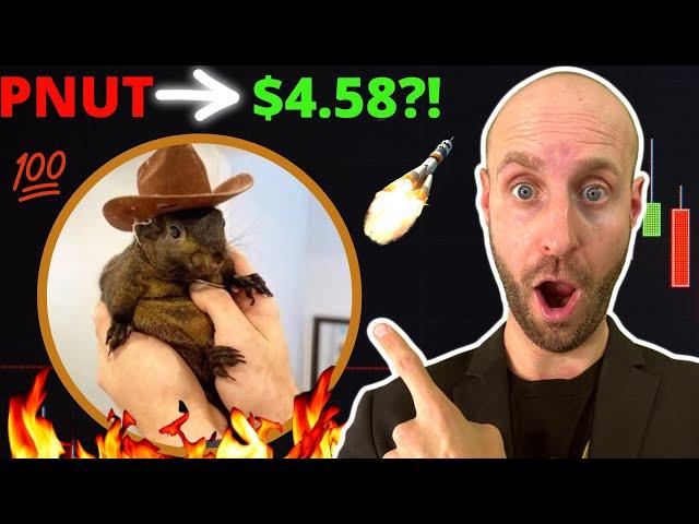 I Bought 217 PEANUT THE SQUIRREL ($PNUT) Crypto Coins at .467?! Turn $100 into $10K?! (URGENT!!!)